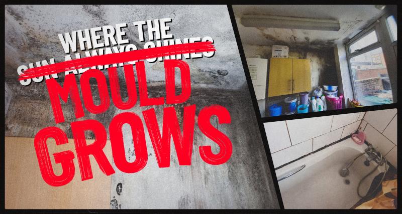 3 photos of disgusting homes, all from people who came to Shelter for help because of the disrepair. Text says “Where the sun always shines”, but the words “always shines” have been crossed out in red paint, and replaced by “Where the mould always grows”.