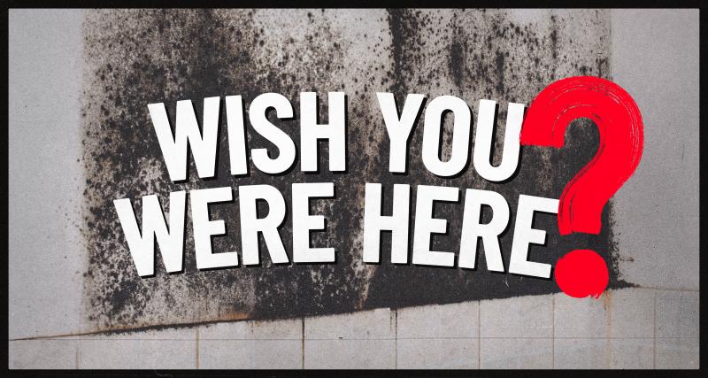 A gross, mouldy wall with the text 'wish you were here?' on it. The ? is in red paint.