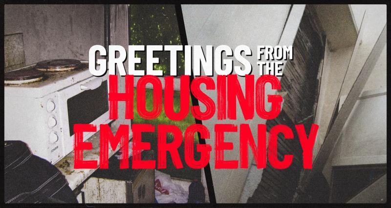 Two photos of mould homes, with the text ‘Greetings from the Housing Emergency’. Each photo is from a real person who approached Shelter for help.  